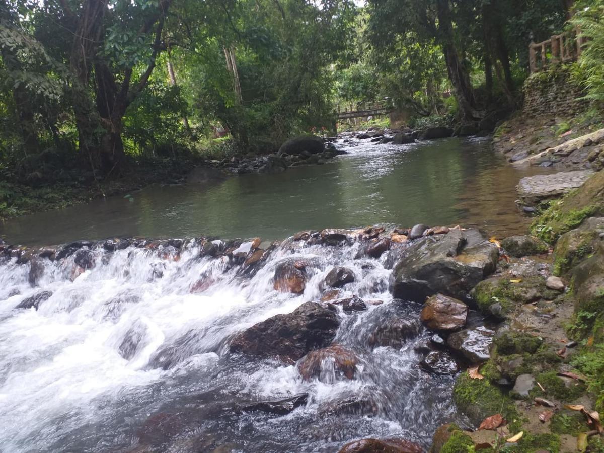 树顶河小屋度假村 Khao Sok National Park 外观 照片