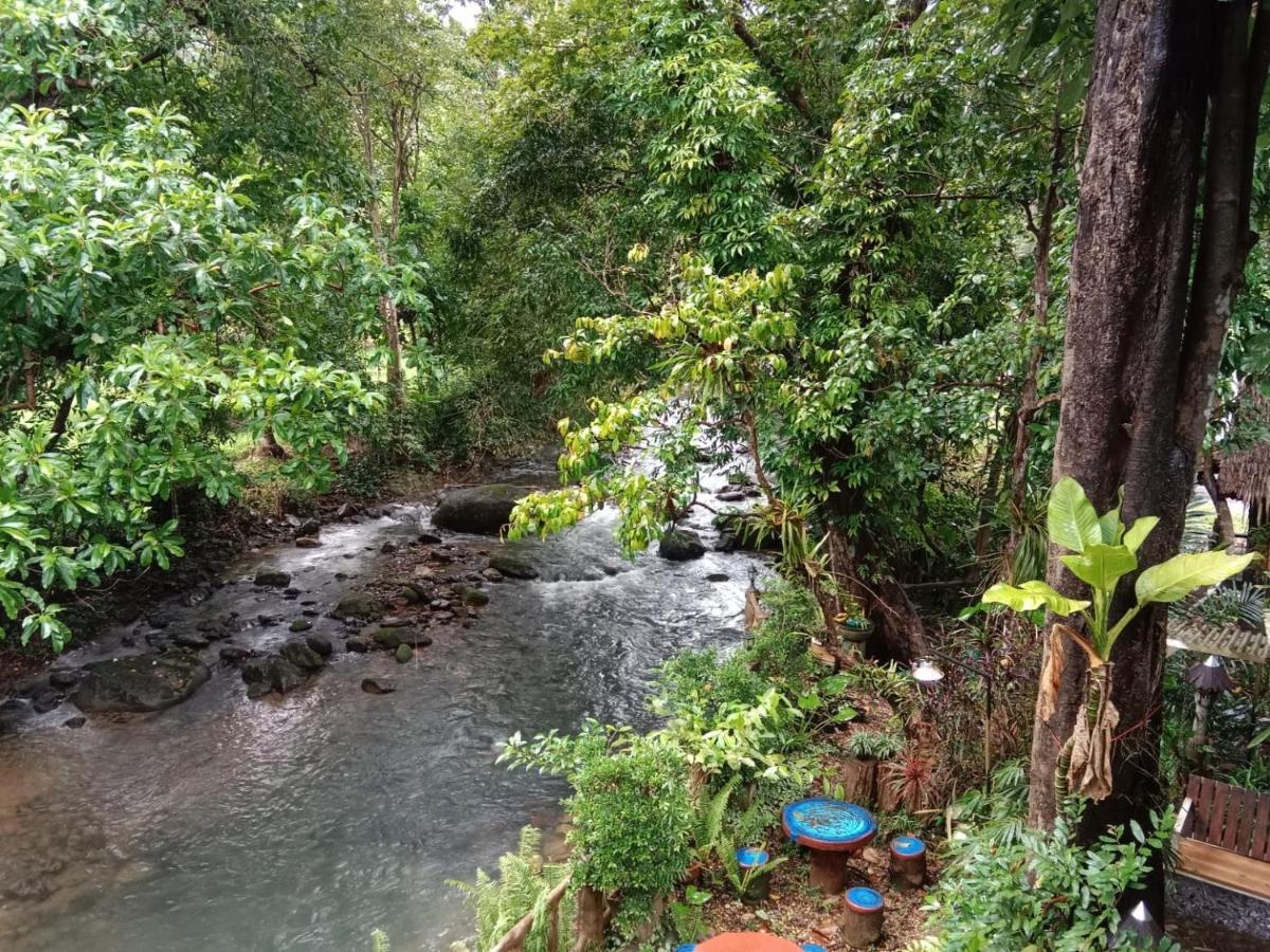 树顶河小屋度假村 Khao Sok National Park 外观 照片
