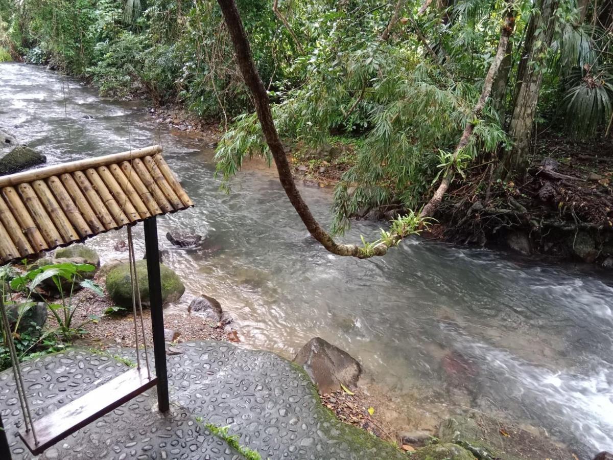 树顶河小屋度假村 Khao Sok National Park 外观 照片