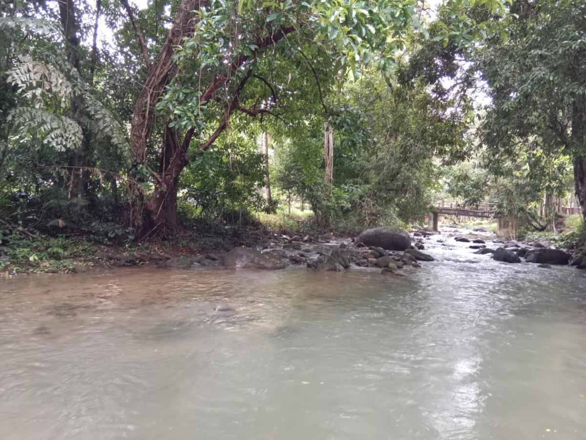树顶河小屋度假村 Khao Sok National Park 外观 照片