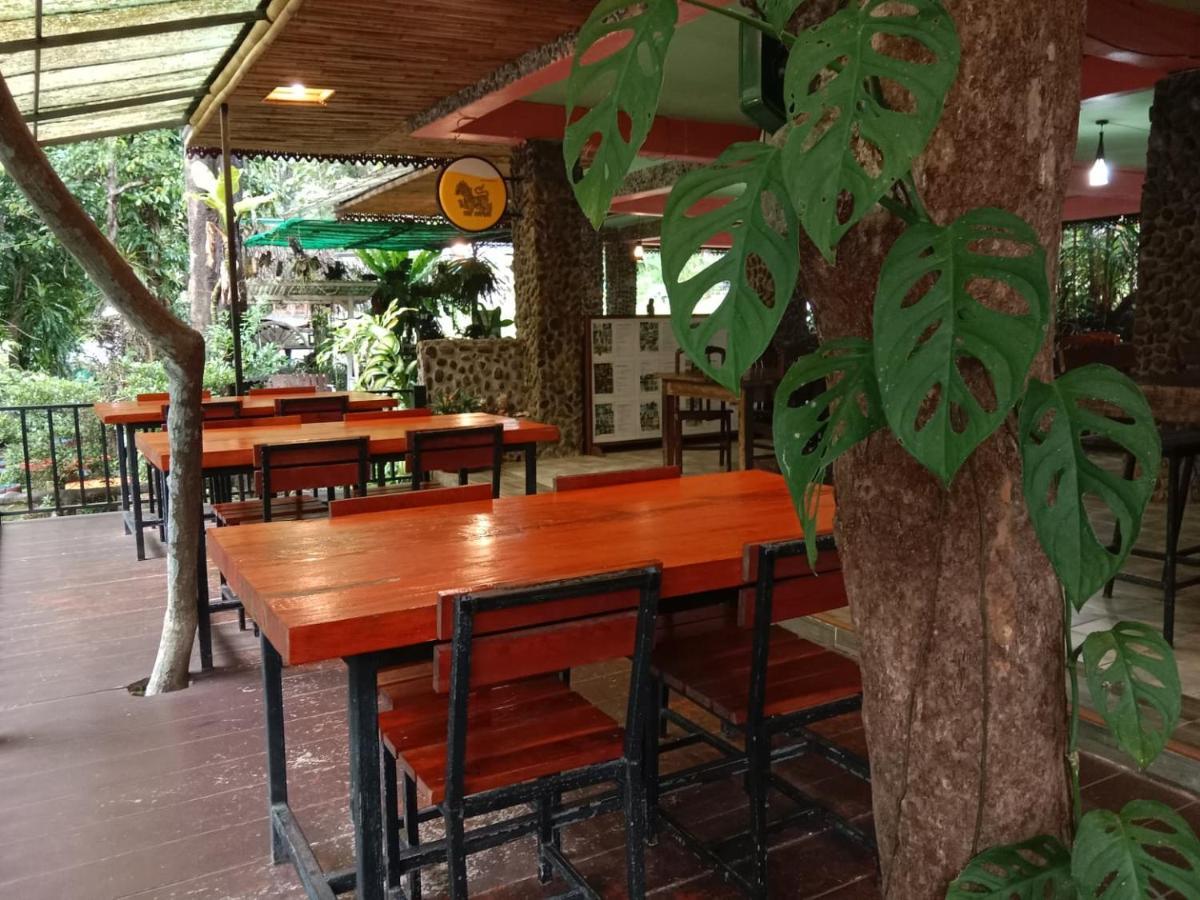 树顶河小屋度假村 Khao Sok National Park 外观 照片