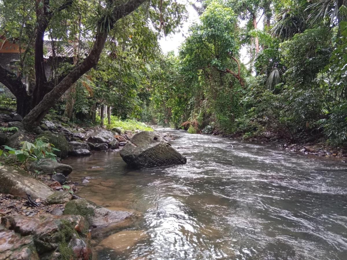 树顶河小屋度假村 Khao Sok National Park 外观 照片