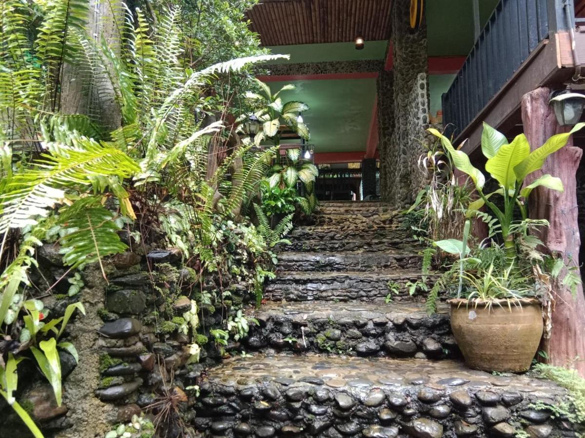 树顶河小屋度假村 Khao Sok National Park 外观 照片