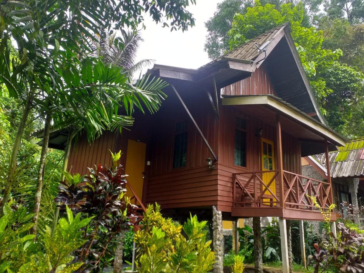 树顶河小屋度假村 Khao Sok National Park 外观 照片