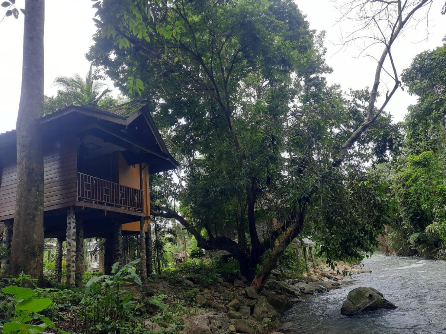 树顶河小屋度假村 Khao Sok National Park 外观 照片