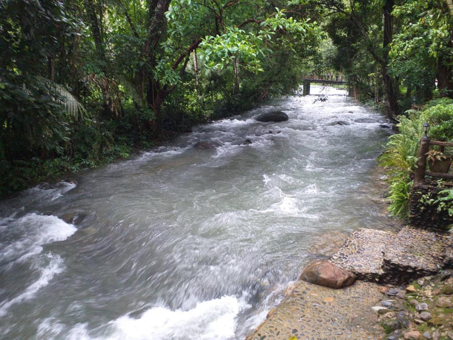 树顶河小屋度假村 Khao Sok National Park 外观 照片