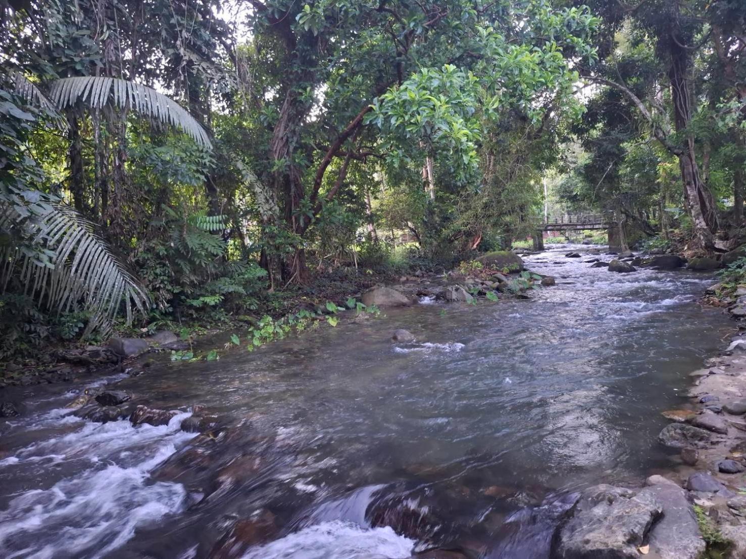 树顶河小屋度假村 Khao Sok National Park 外观 照片