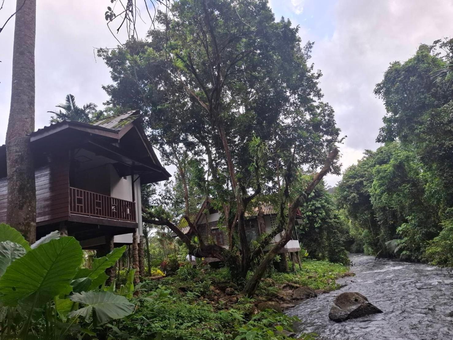 树顶河小屋度假村 Khao Sok National Park 外观 照片