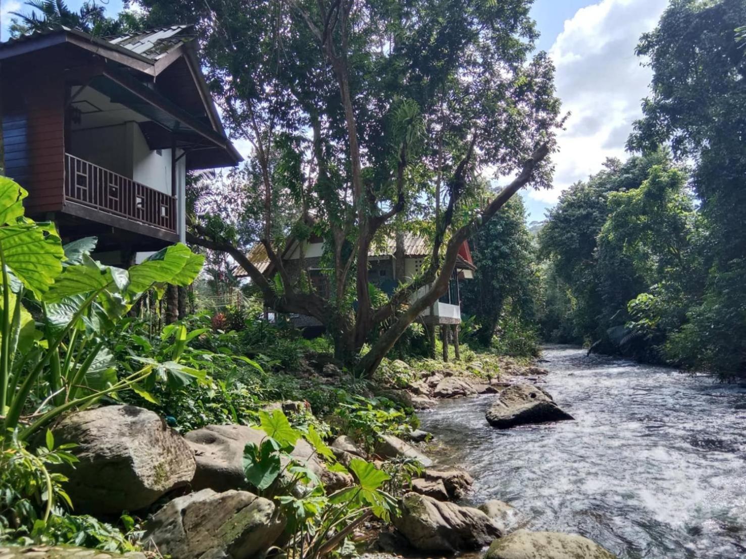 树顶河小屋度假村 Khao Sok National Park 外观 照片